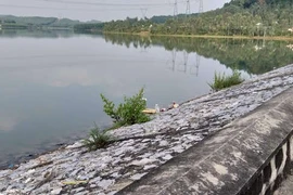 Lời khai rợn người của bà nội nghi sát hại cháu gái 11 tuổi