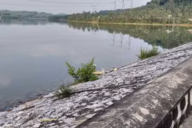 Lời khai rợn người của bà nội nghi sát hại cháu gái 11 tuổi