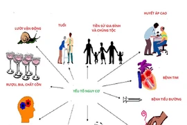 Những yếu tố nguy cơ bệnh tim mạch