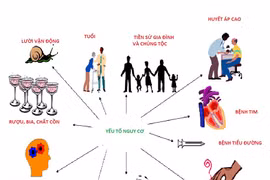 Những yếu tố nguy cơ bệnh tim mạch