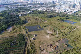 Bắt tạm giam 2 nguyên lãnh đạo Công ty Tân Thuận