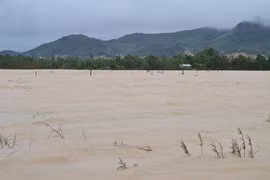 Nhiều tuyến đường ở Tuy Phước, tỉnh Bình Định bị ngập sâu.