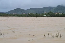 Nhiều tuyến đường ở Tuy Phước, tỉnh Bình Định bị ngập sâu.