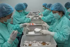 Thử nghiệm thành công văcxin Covid-19 giai đoạn 2