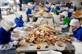 ADB hỗ trợ phát triển khu vực tư nhân Việt Nam