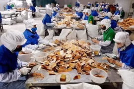 ADB hỗ trợ phát triển khu vực tư nhân Việt Nam