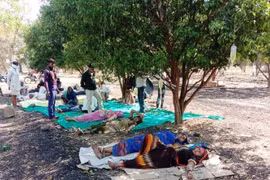 Ấn Độ trong 'sóng thần' COVID-19: Bệnh nhân nằm dưới tán cây truyền dịch