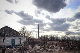 Ukraina pháo kích dữ dội vào vùng Donbass, đọ súng với lực lượng dân quân Donetsk và Lugansk