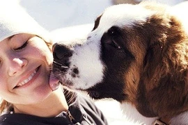 Đau gan do nhiễm giun chó mèo