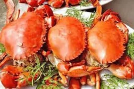 Ngộ độc hải sản – Nỗi lo mùa du lịch