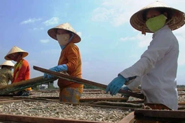 Nồng nàn mùi Tết