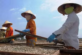 Nồng nàn mùi Tết