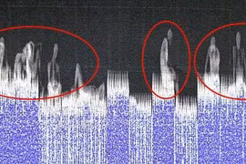 Vì sao 39 người phải vào Anh trong xe đông lạnh -25 độ C?