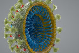 nCoV không bắt nguồn từ phòng thí nghiệm