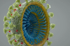 nCoV không bắt nguồn từ phòng thí nghiệm