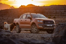 Ford Motor công bố kế hoạch trung hòa carbon trước năm 2050