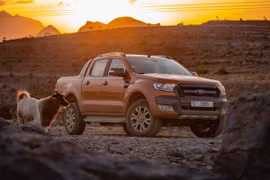 Ford Motor công bố kế hoạch trung hòa carbon trước năm 2050