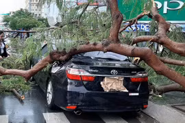 5 điều cần làm ngay với ô tô trước khi bão đến