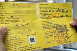 Tỷ lệ bồi thường bảo hiểm xe máy bắt buộc chỉ 6%