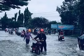 Khẩn: TPHCM dừng mọi hoạt động giảng dạy trong chiều 26/11