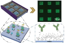 Tìm kiếm dấu ấn sinh học - phương pháp xét nghiệm Covid-19 mới