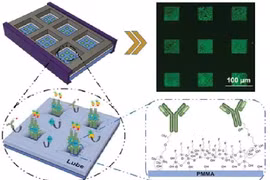 Tìm kiếm dấu ấn sinh học - phương pháp xét nghiệm Covid-19 mới