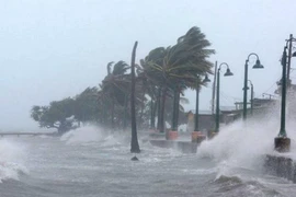 Vùng áp thấp trên Biển Đông có thể mạnh thêm, gây mưa lớn