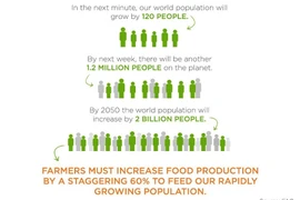 Cách thức nào để nuôi sống thế giới tới năm 2050?