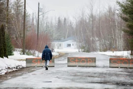 Căn bệnh não bí ẩn bùng phát ở Canada giữa khủng hoảng COVID-19