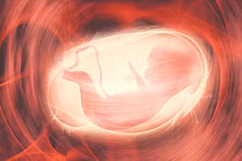 Đứa trẻ ‘thiết kế sẵn’ đầu tiên sẽ được ra đời vào tháng Giêng 2035?