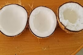 Máy đo tỷ lệ dừa sáp