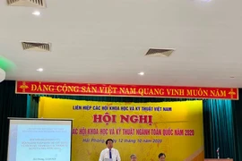 Liên hiệp Hội Việt Nam tổng kết hoạt động của các hội ngành