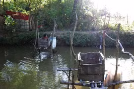 “Nỗi khổ trẻ con, nỗi nhục người lớn”