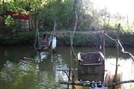 “Nỗi khổ trẻ con, nỗi nhục người lớn”