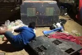 Vòng xoay cảm giác mạnh đứt dây an toàn, du khách gặp nạn