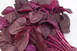 Tăng cường hoạt động thể lực tại nhà 