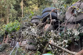 Xe chở sắn lao xuống vực sâu ở Gia Lai