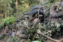 Xe chở sắn lao xuống vực sâu ở Gia Lai