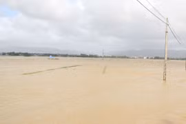 Mưa lũ gây thiệt hại nặng tại Bình Định