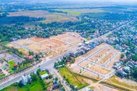 Quảng Nam công khai 11 trường hợp vi phạm, thu hồi hơn 1.300ha đất