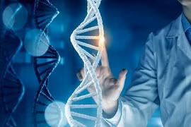 Sẩy thai có do di truyền?