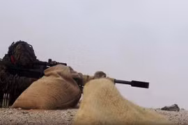 Video xạ thủ bắn tỉa Houthi tấn công Liên quân trên lãnh thổ Ả rập Xê út 