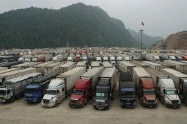 Xuất khẩu nông sản vẫn mù mờ về cung và cầu