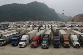 Xuất khẩu nông sản vẫn mù mờ về cung và cầu