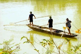 Thanh Hóa: Cấm dùng chất nổ, xung điện, chất độc để khai thác thủy sản