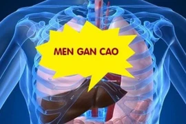 Tự ý dừng thuốc điều trị viêm gan B