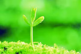 7 việc nên làm để trường thọ