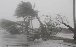 Bão biển thường kéo dài vài tuần