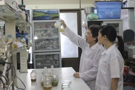 Chế phẩm xử lý rác thải nhựa