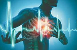 Bấm phản xạ chỉnh rối loạn nhịp tim